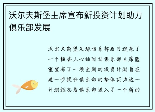 沃尔夫斯堡主席宣布新投资计划助力俱乐部发展